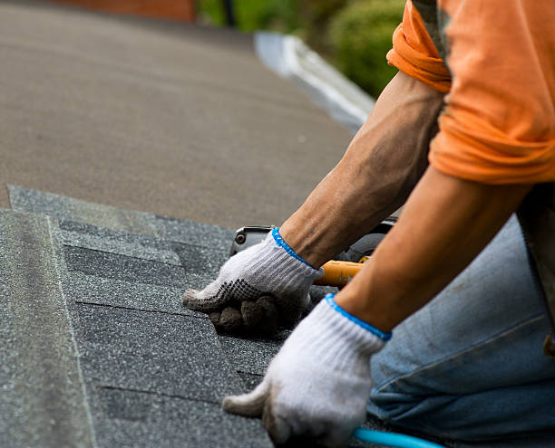 Best Roof Repair Services  in Rockingham, NC